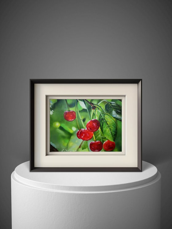 Red Cherries on Branch