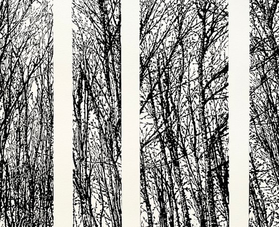 Quiet Spaces