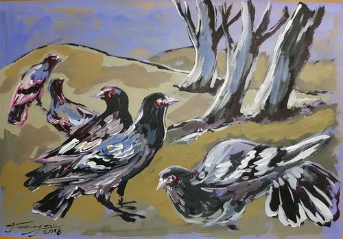 Pigeons by Jamaleddin Toomajnia