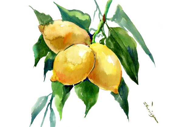 Lemon Tree