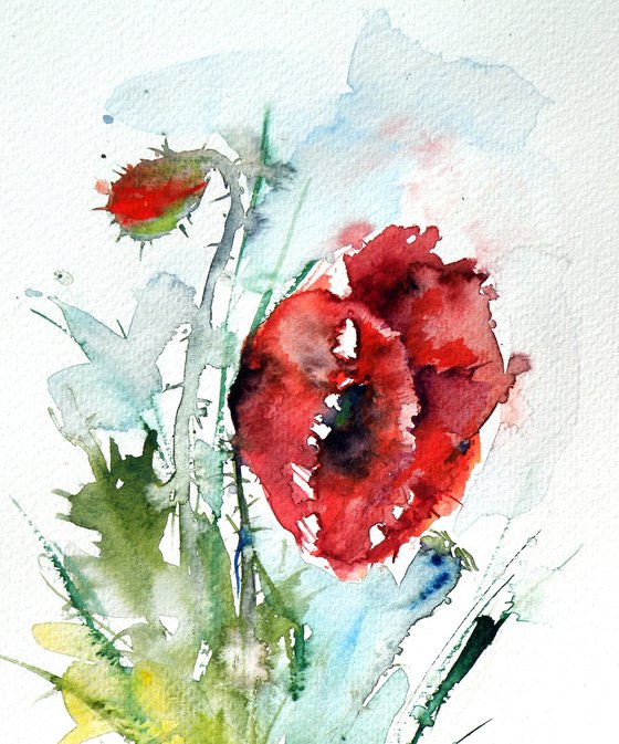 Little poppy II