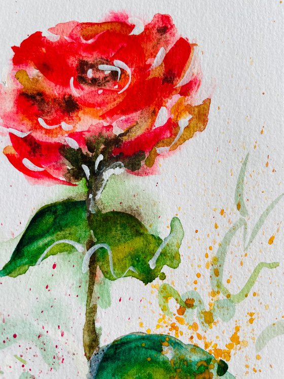 Blaze of Red Roses 2