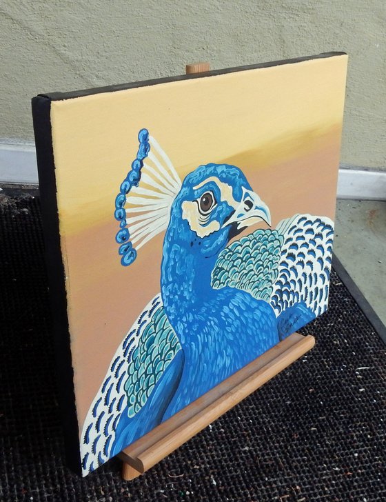 Peacock Original Bird Art Painting-11 x 14 Inches Stretched Canvas-Carla Smale