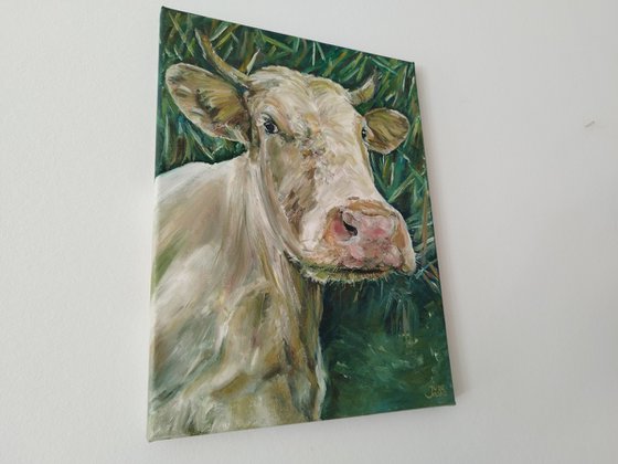 Cow's Portrait