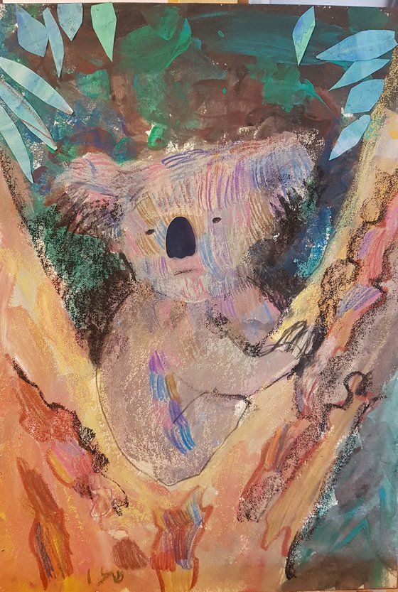 Koala, framed 40*50 by Shalev Reznik