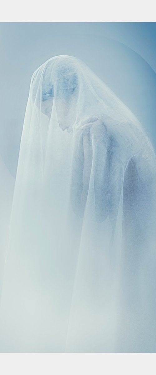 Délicate by Cédric Brion