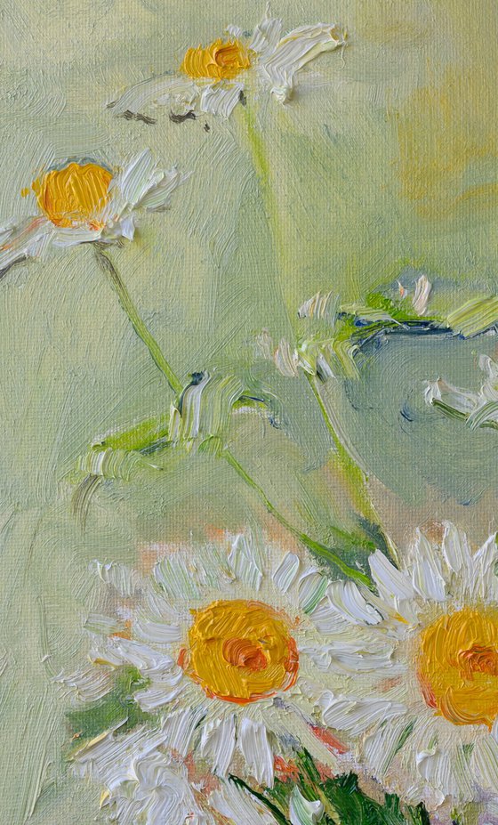 Daisy Flowers in the Glass