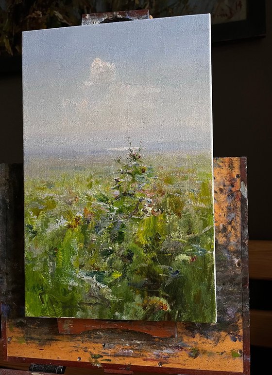 Sun in the steppe