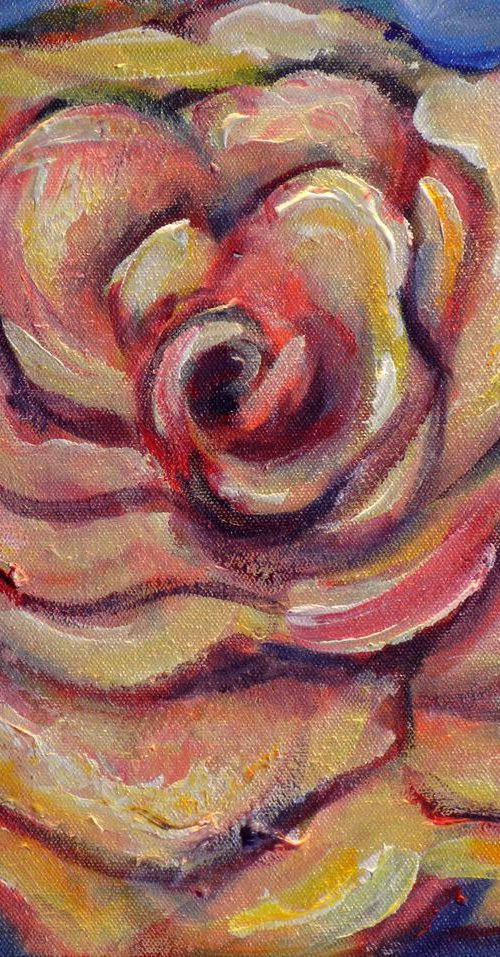 Pink Rose VI 14x11 by BenWill