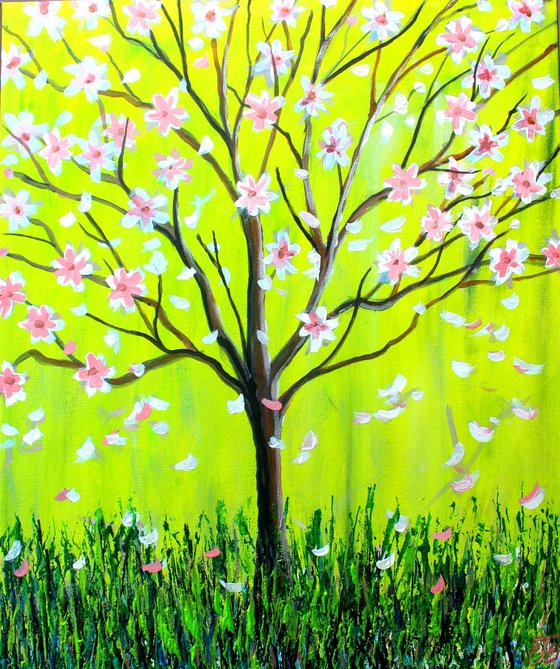 Magnolia Spring