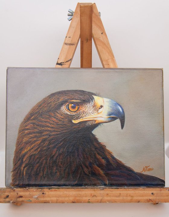 Golden Eagle