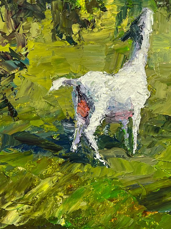 Summer Day on the Pasture