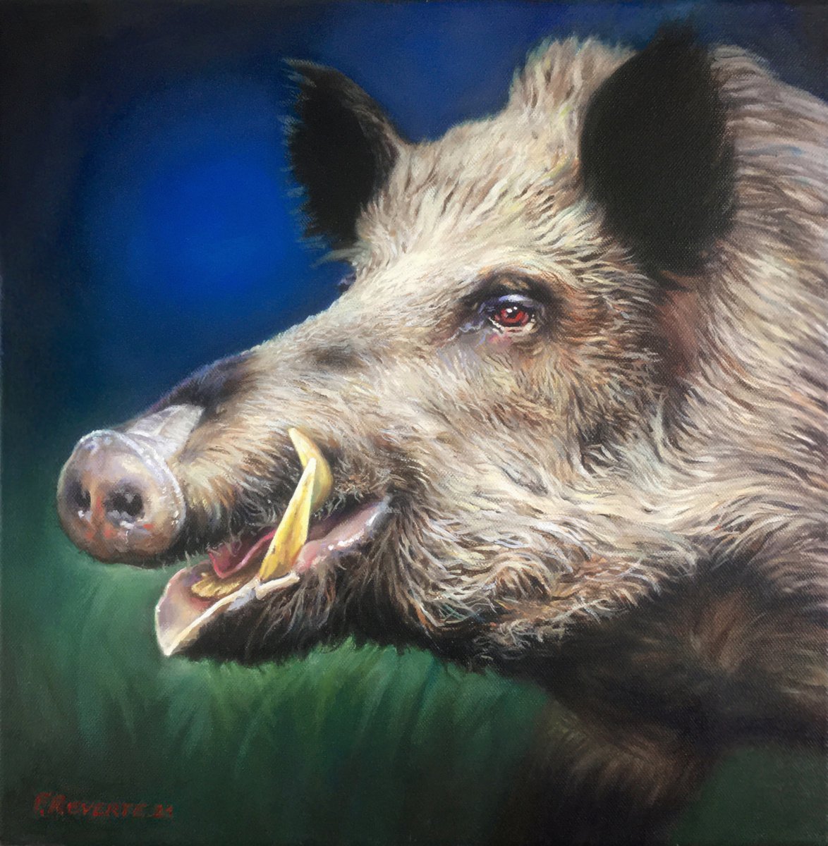Boar by Frederic Reverte