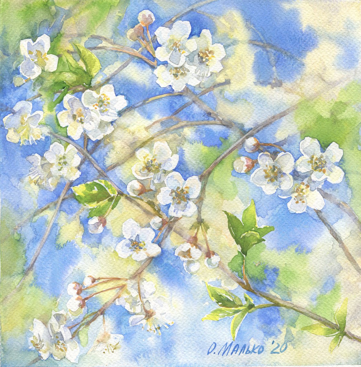 Blue sky through cherry blossom / Flowering branches. Spring watercolor by Olha Malko