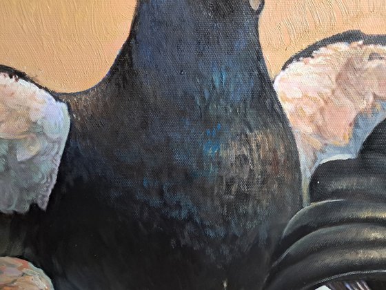 BLACK GROUSE ON THE LEK / MAN-TO-MAN TALK