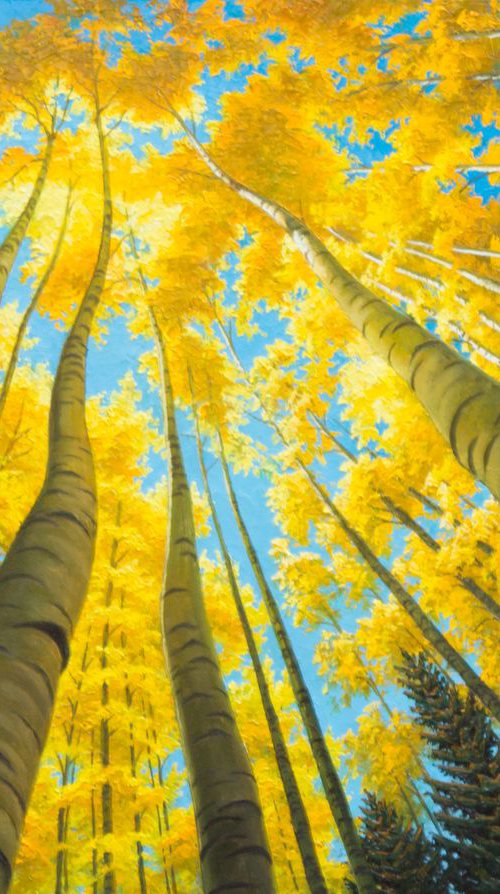 CELESTIAL BIRCHES 2 by Oleksii Vylusk