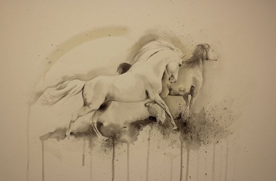 The Movement of Horses study 7.1