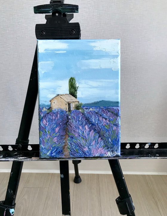 Provence Lavender field 100%Original Oil Painting