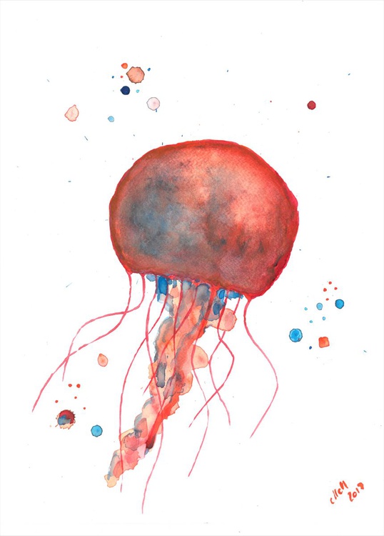 Colorful Jellyfish Watercolor Artwork
