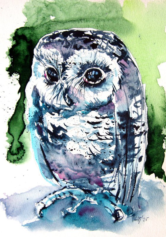 Cute baby owl