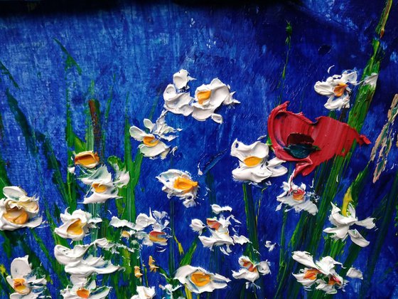 Poppies and daisies at the meadow