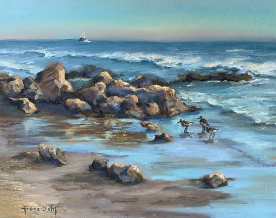 Crystal Cove Seas