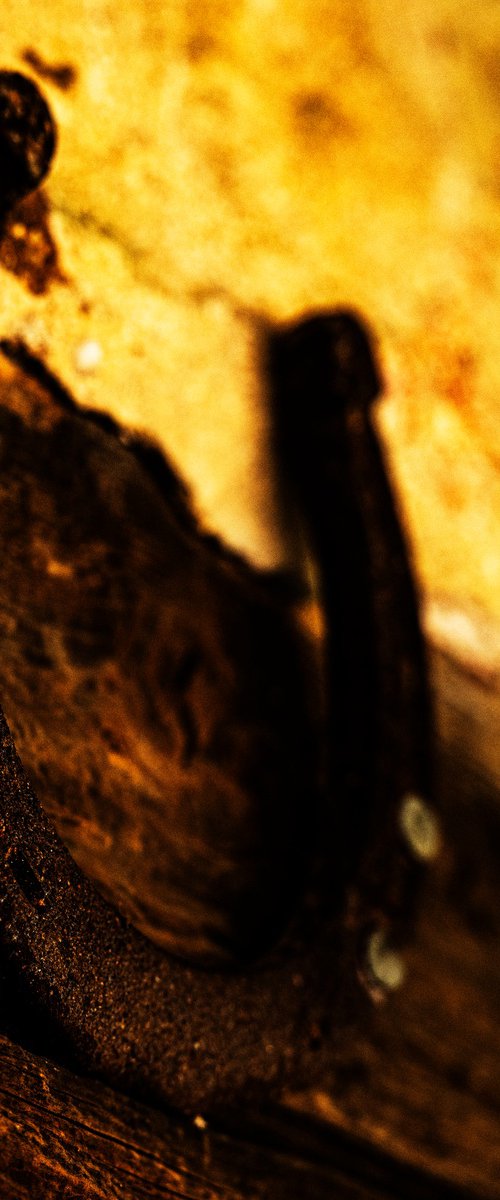 Weathered Fortune by David Huntzinger