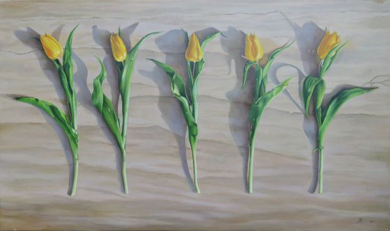 Five Tulips