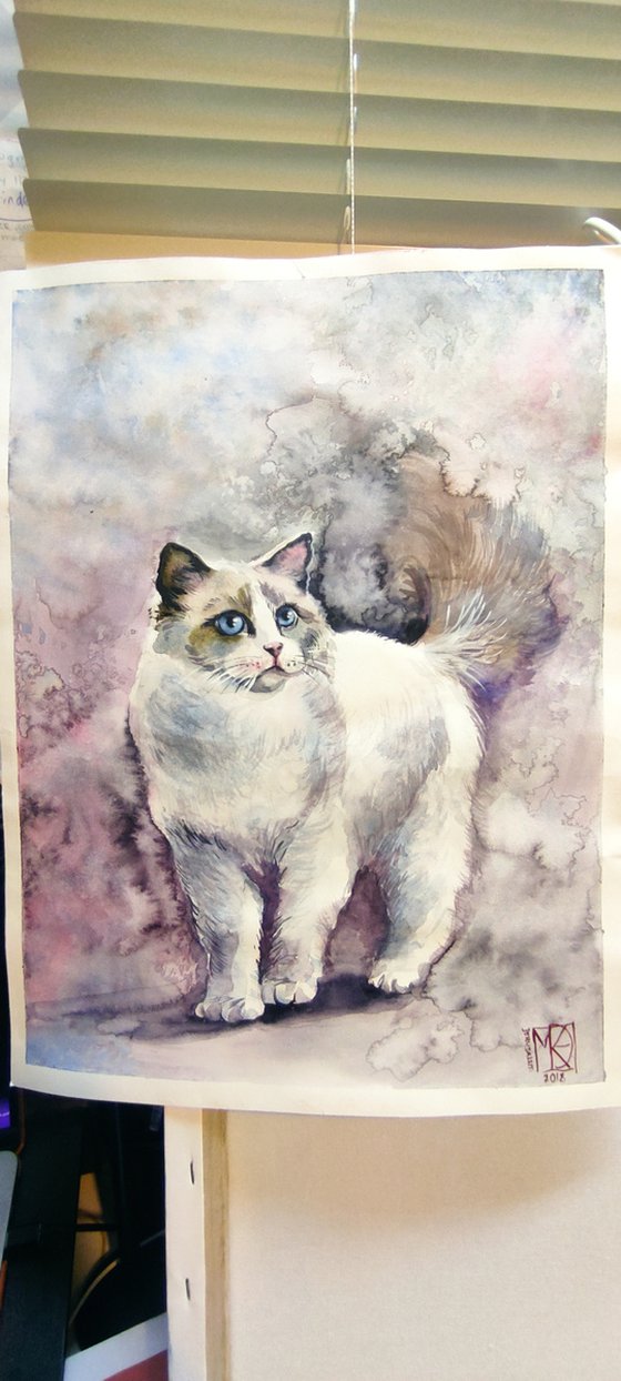 Blue eyes watercolor cat