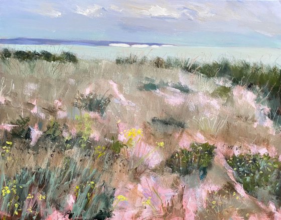 Beach And Distant White Cliffs
