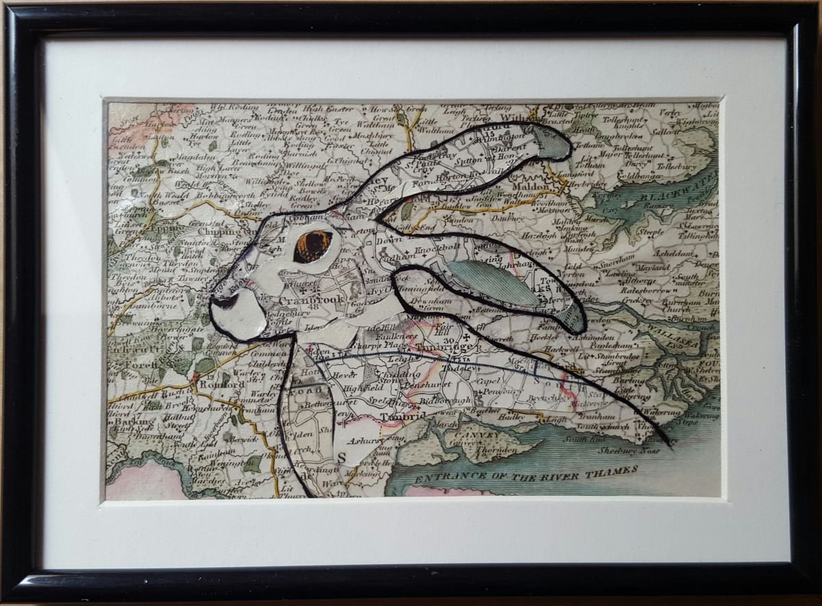 Hare by Nick Jones
