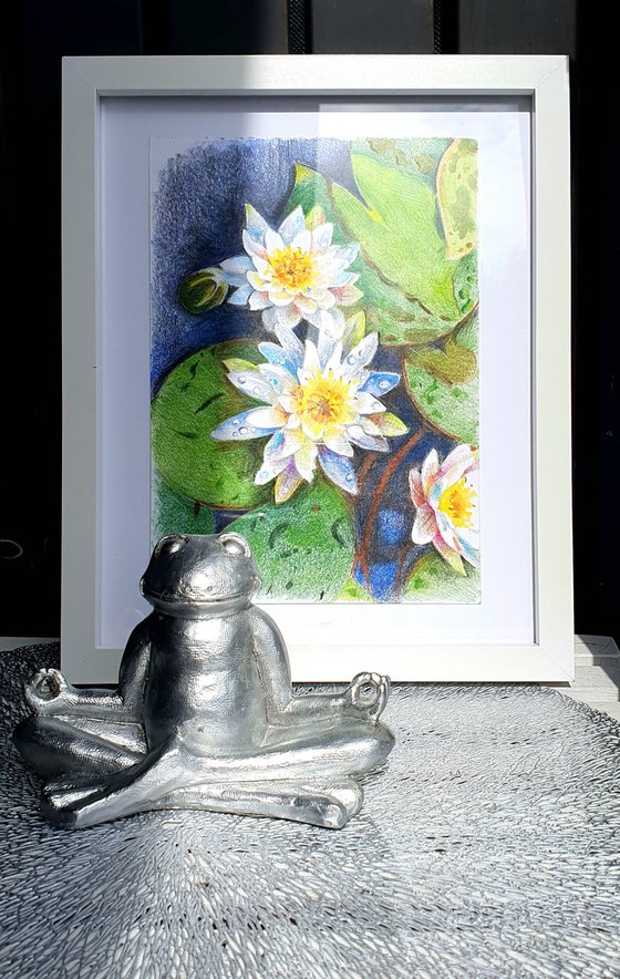 Waterlilies