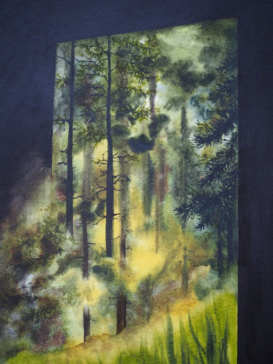 Forest coming