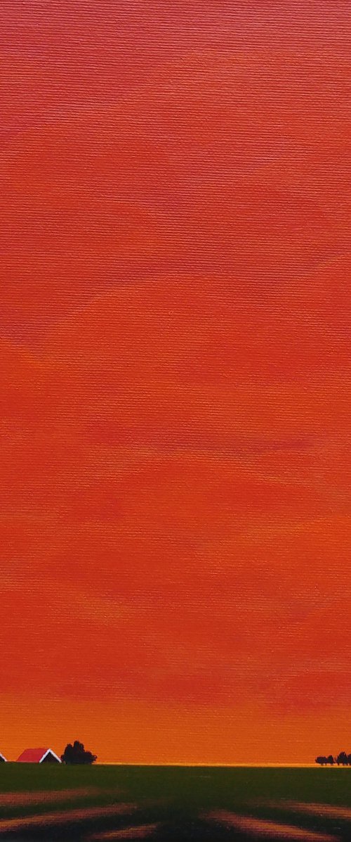Sunset in my polder (November) by Nelly van Nieuwenhuijzen
