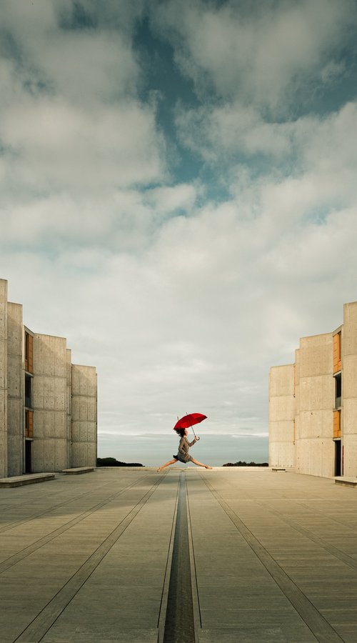 EUPHORIA by Harv Greenberg