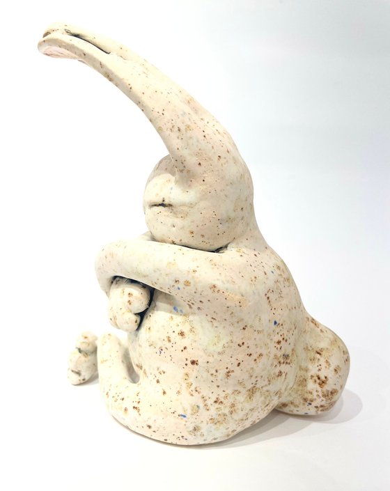 Dreamer Rabbit