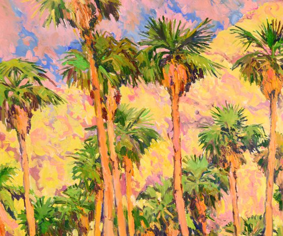 Palm Springs, Landscape