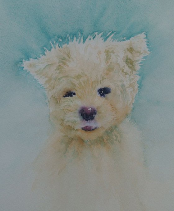 Scruff - Fluffy Dog Soft Toy - Original watercolour