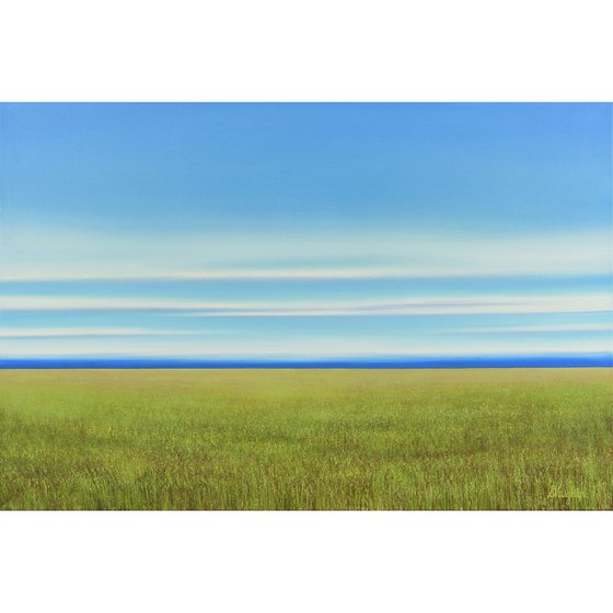 Lush Field - Blue Sky Landscape