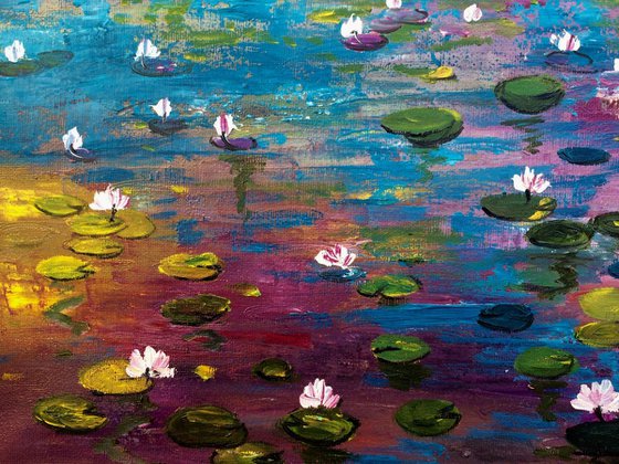 Lilies pond