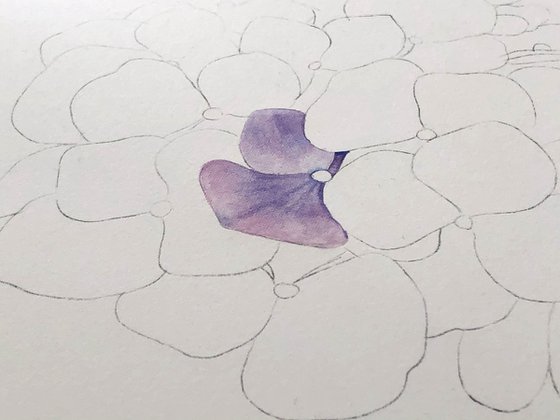 Hydrangea. Original watercolor artwork.