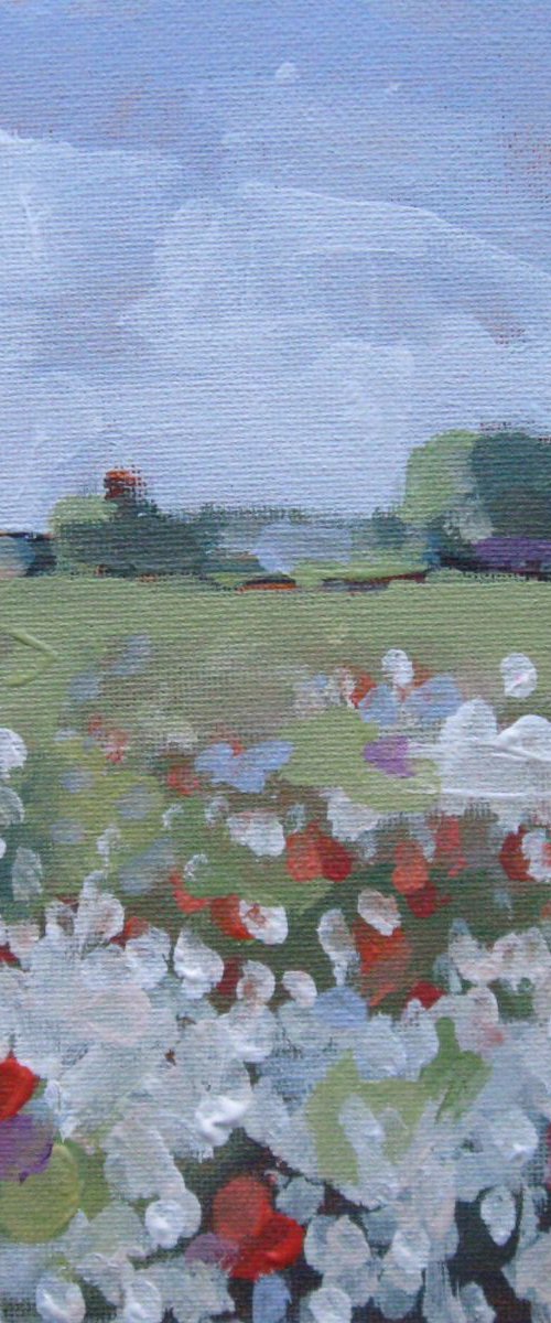 MEADOW 2. by LENKA STASTNA