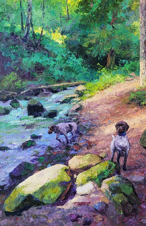 Mountain Stream in the Forest