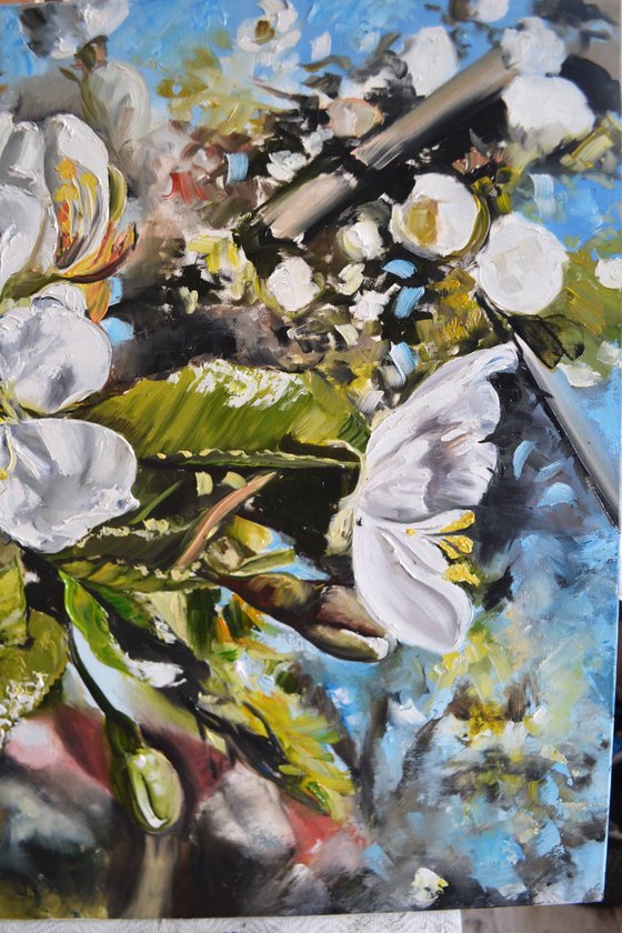Cherry Blossom