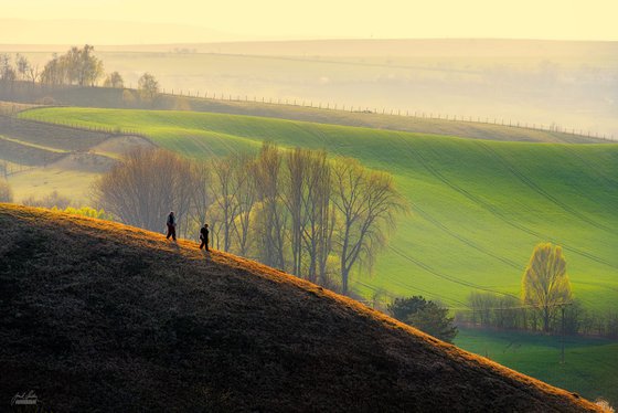 Evening walk in Moravia