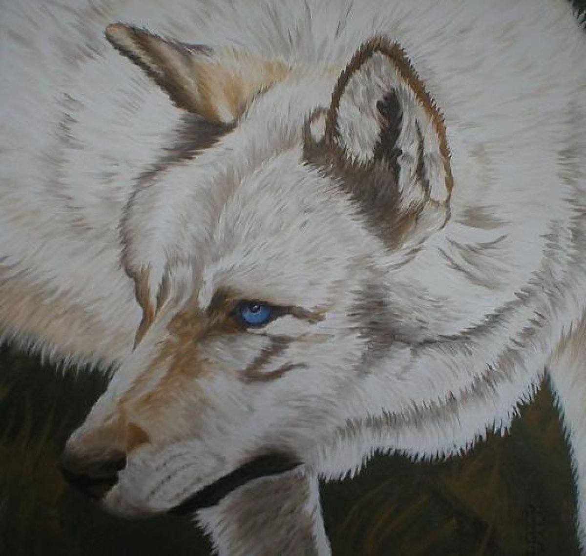 White Wolf by Pauline Sharp