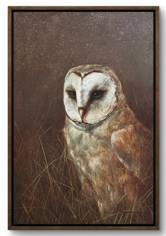 White #1 Owl