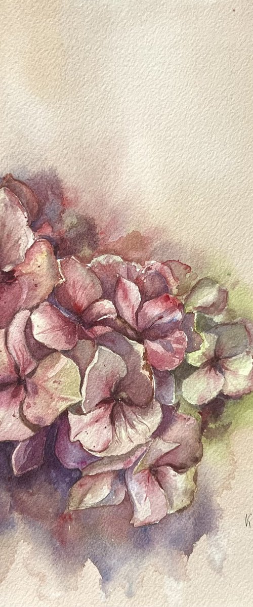 Crush and Blush by Krystyna Szczepanowski