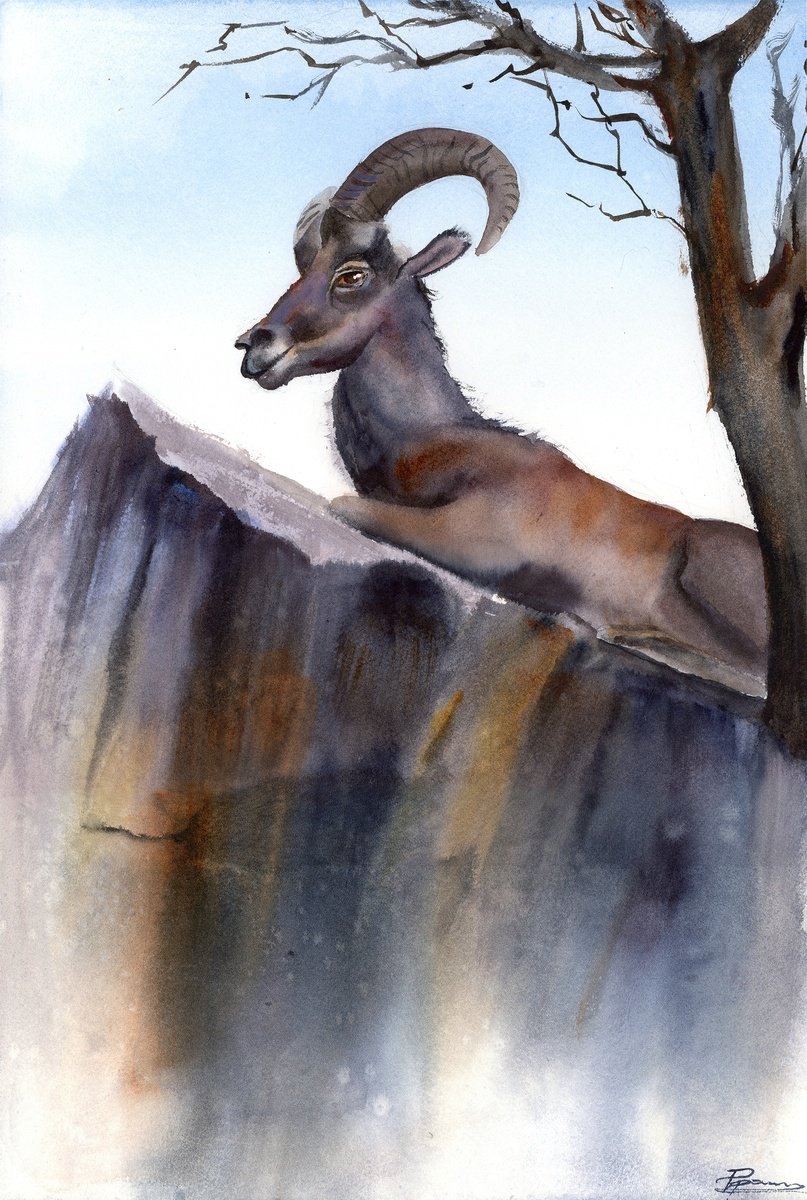 Illustrative Animal Watercolour By Olga Tchefranov (Shefranov), 12 X 18", Resting Ibex On The Cliff, Original Artwork