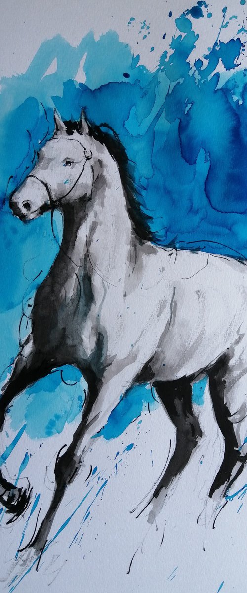 horses 24 by Giorgio Gosti